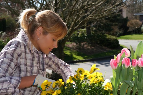Inspector speaking with a gardener during a site audit